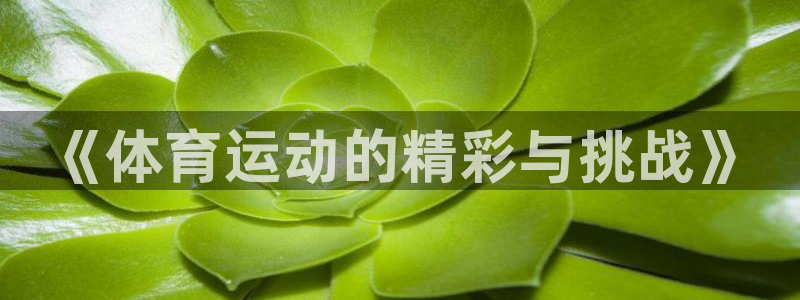 德国必发官方正版app集团:《体育运动的精彩与挑战》