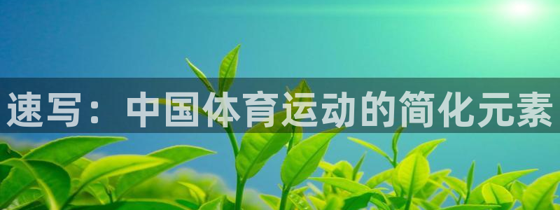 必发官网下载招商电话号码是多少号:速写:中国体育运动的简化元