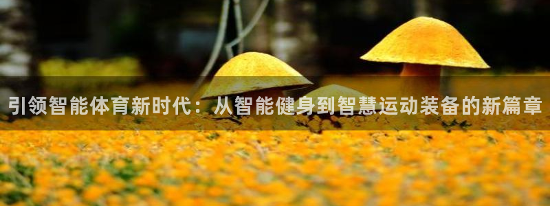 必发官网下载平台注册要钱吗:引领智能体育新时代:从智能健身到