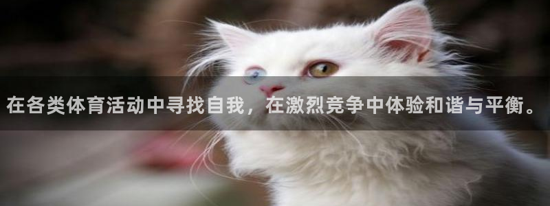 必发官网下载平台APP:在各类体育活动中寻找自我,在激烈竞争